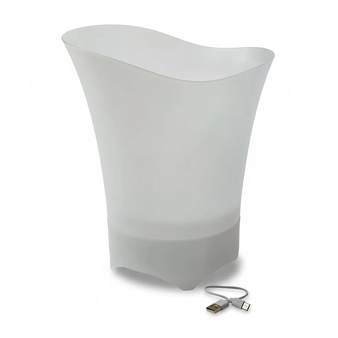 Ice Bucket With Speaker